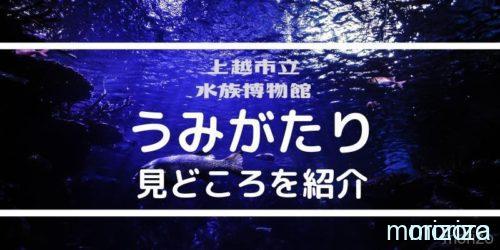 うみがたりの見どころを紹介
