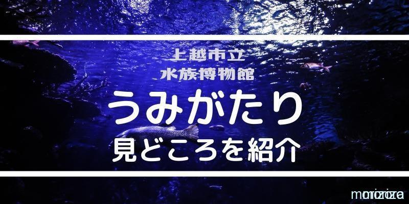 うみがたりの見どころを紹介