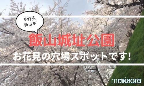 飯山城址公園 桜の名所
